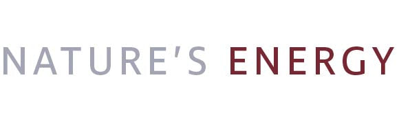 Australian Manuka Honey For Sale