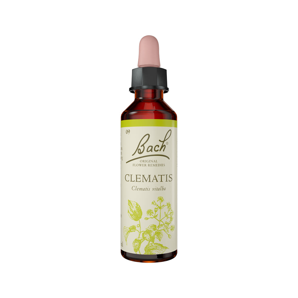 Bach Flower Remedies - Clematis