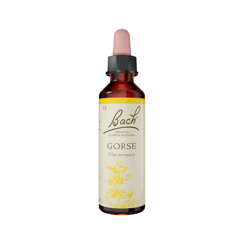 Bach Flower Remedies - Gorse