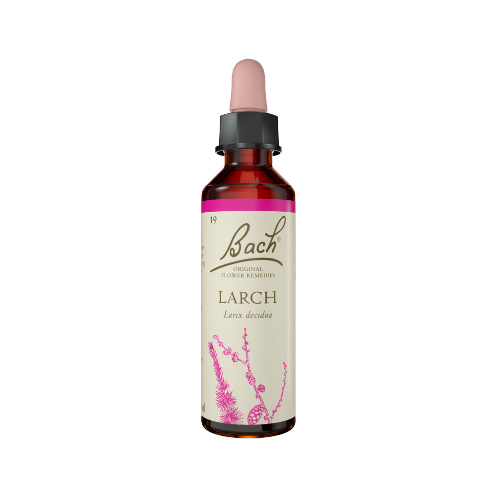 Bach Flower Remedies - Larch
