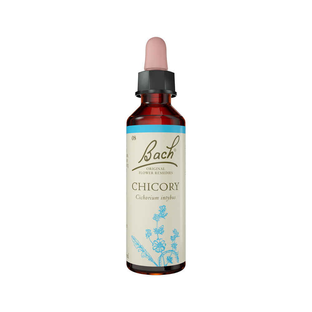 Bach Flower Remedies - Chicory