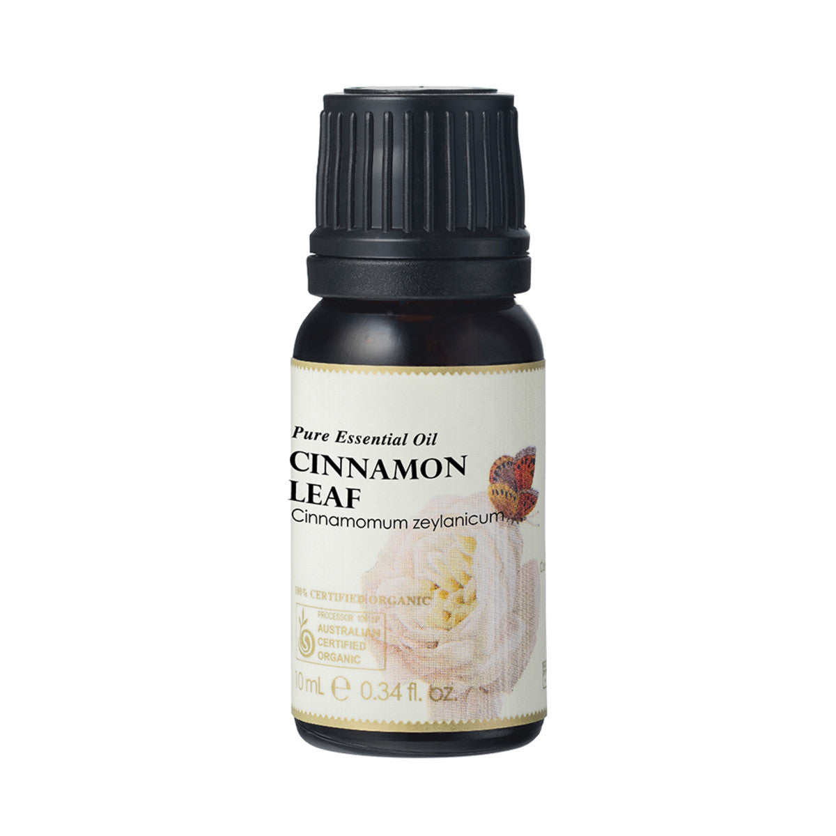 Ausganica - Organic Essential Oil Cinnamon Leaf