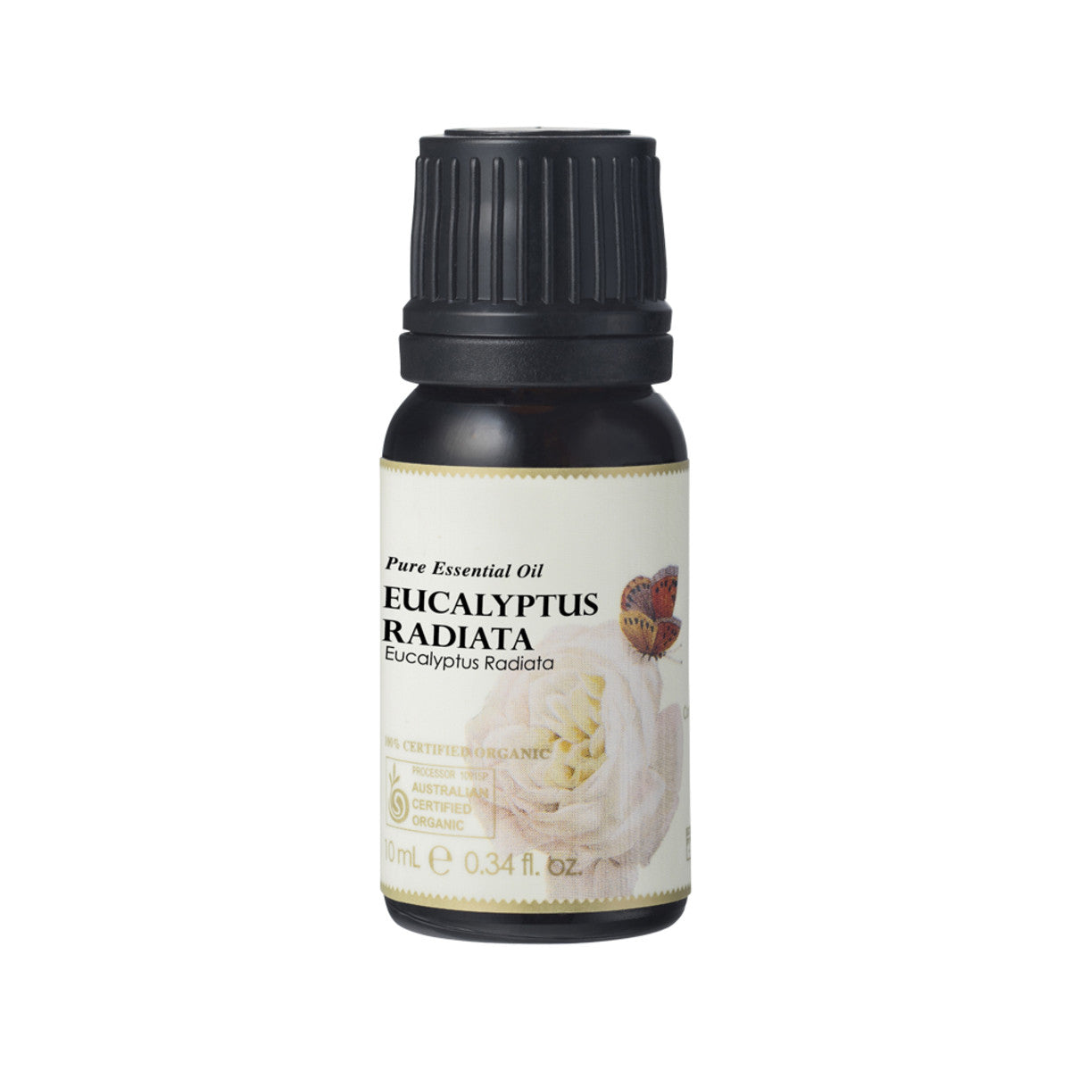 Ausganica - Organic Essential Oil Eucalyptus Radiata