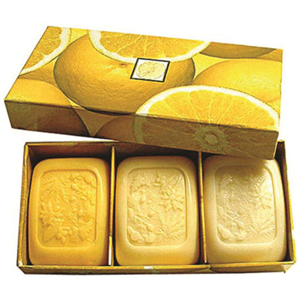 Clover Fields - Fresh Fruits Box Grapefruit x 3 Pack