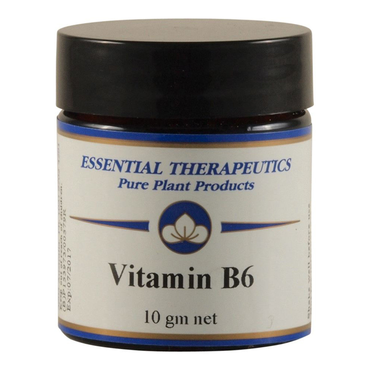 Essential Therapeutics - Vitamin B6 10g