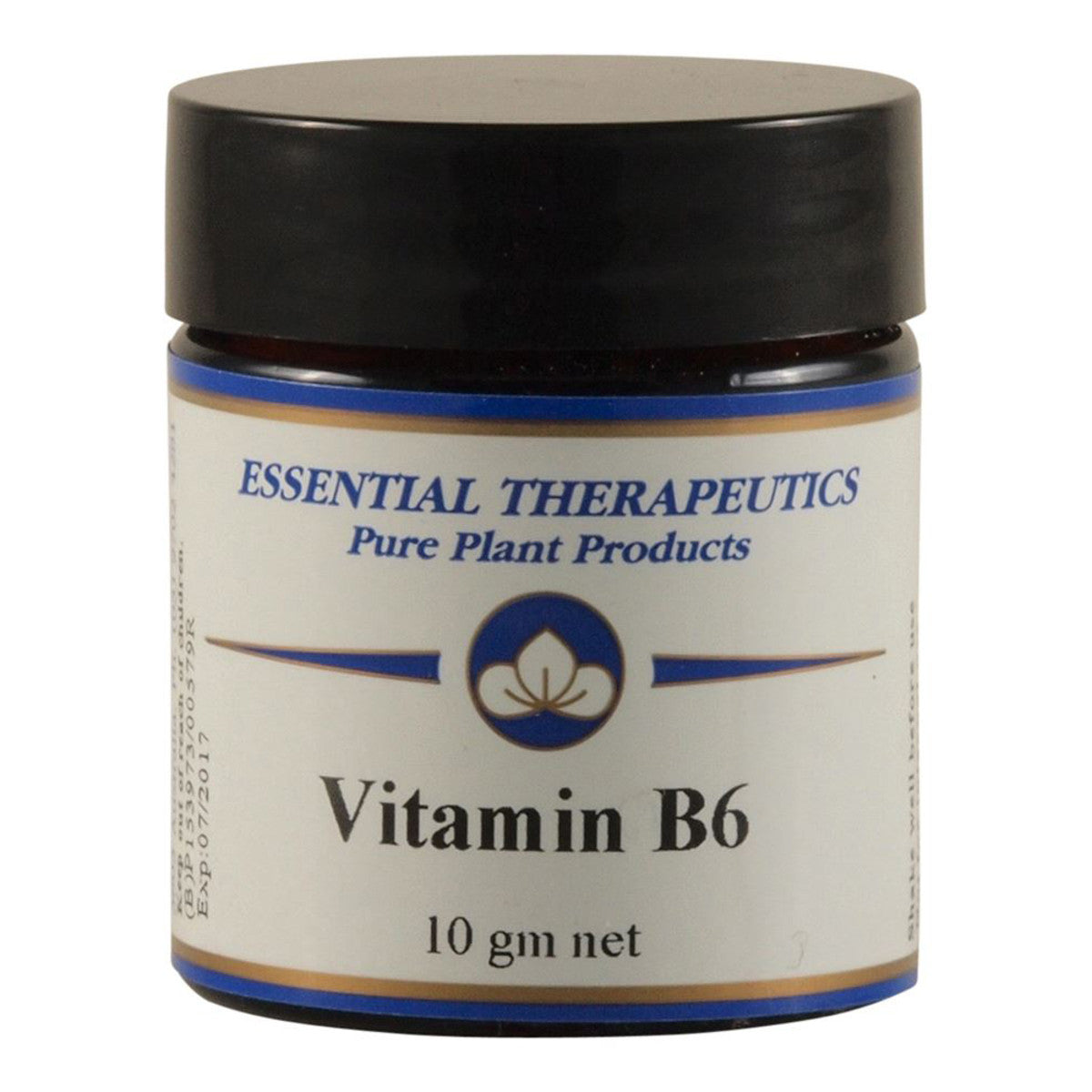 ESSEN THERAP VITAMIN B6 10G