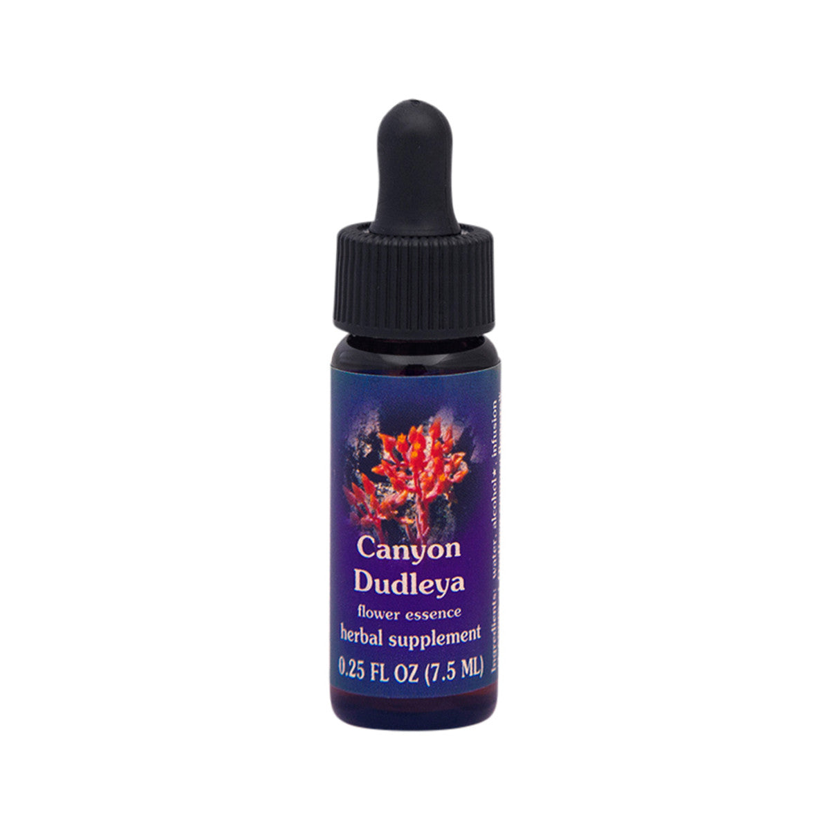 FES - Quintessentials Canyon Dudleya 7.5ml