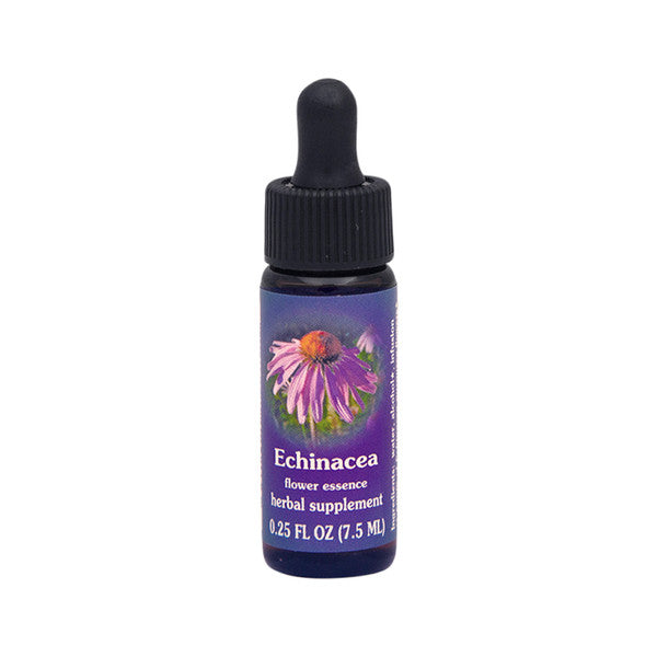 FES - Quintessentials Echinacea 7.5ml
