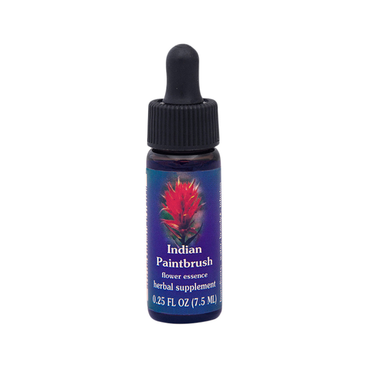 FES - Quintessentials Indian Paintbrush 7.5ml