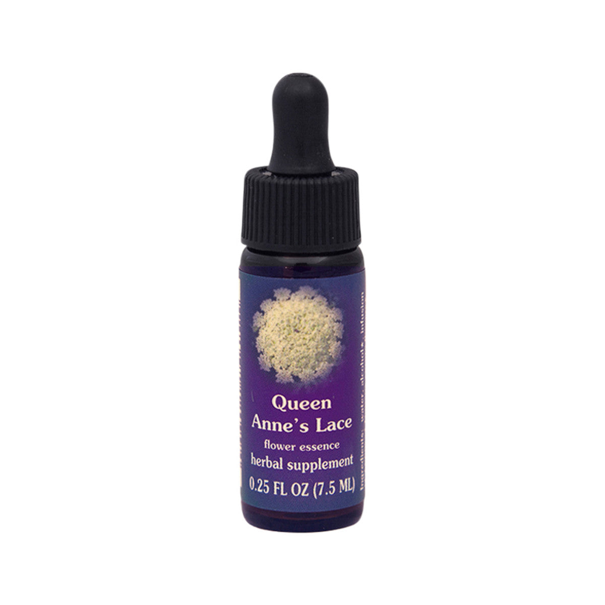 FES - Quintessentials Queen Anne's Lace 7.5ml