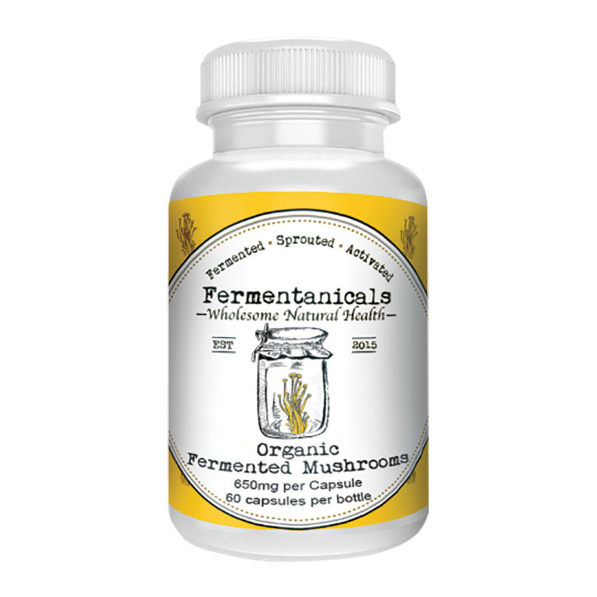 Fermentanicals - Organic Fermented Mushrooms