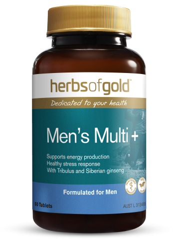 Herbs of Gold - Men's Multi+