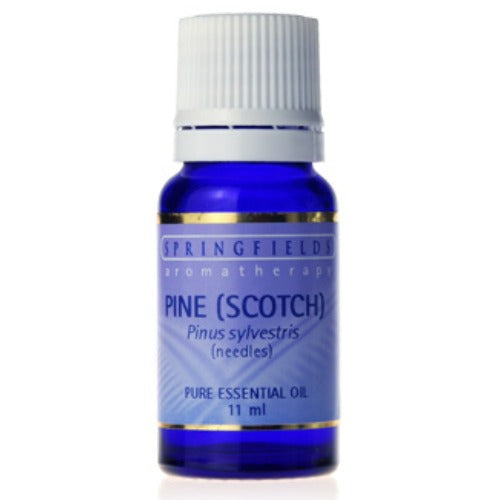 Springfields Pine (Scotch) Pure Essential Oil