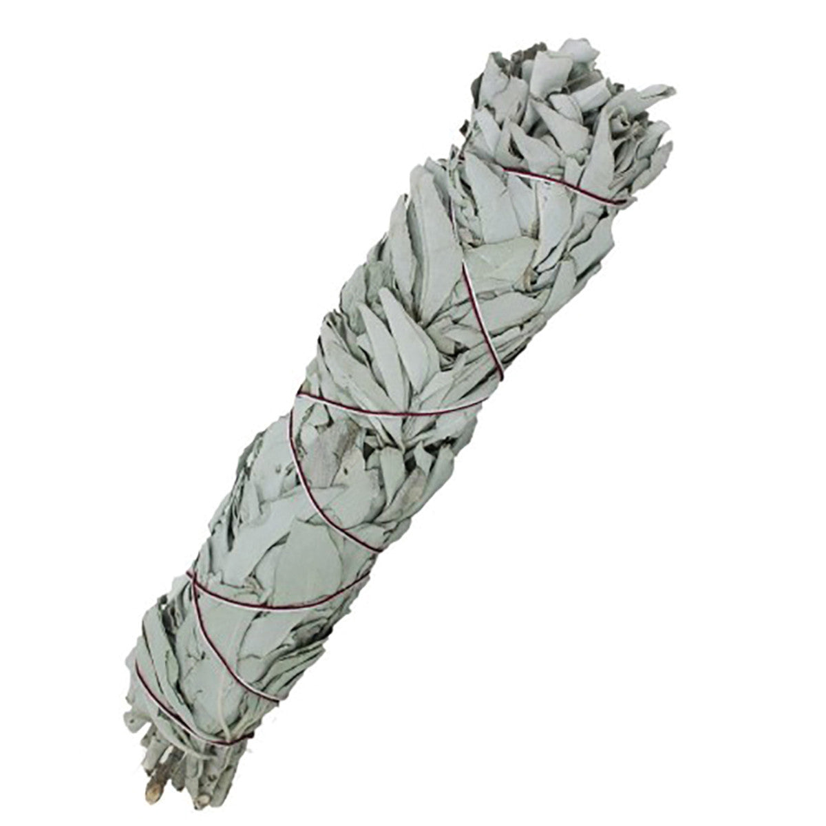 SaltCo Smudge Stick Californian White Sage 14cm