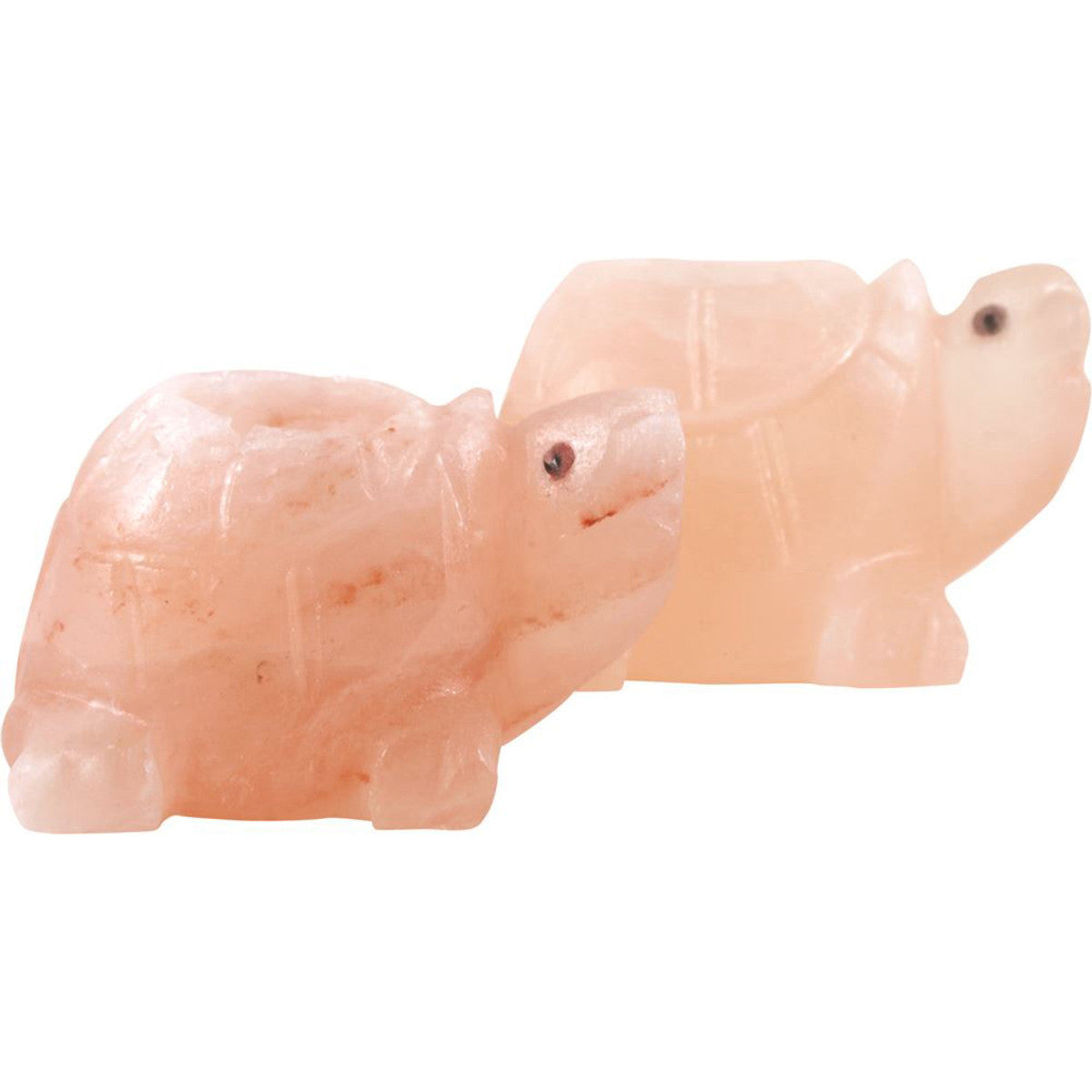 SaltCo - Salt Crystal Tea Light Turtle x 2