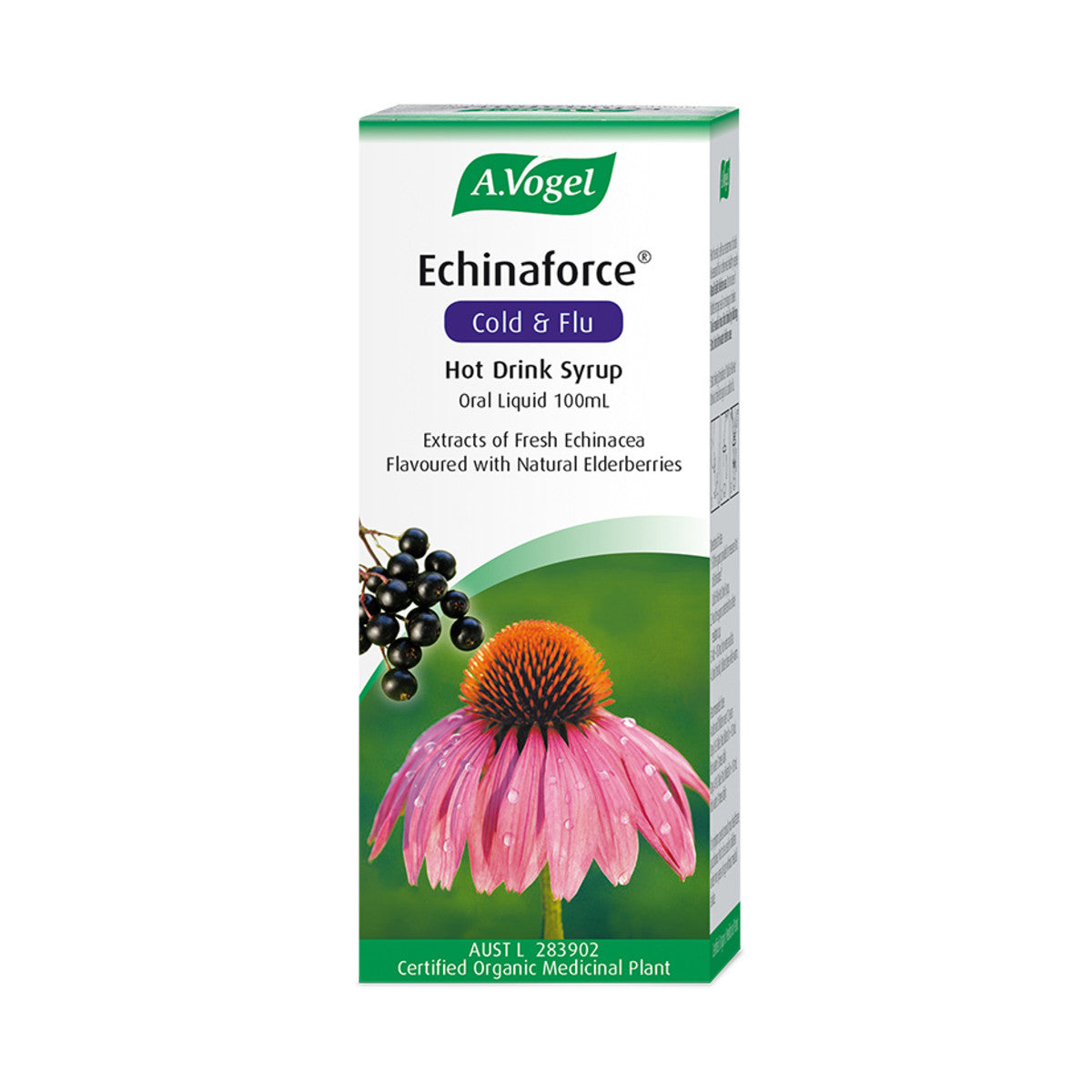 Vogel Organic Echinaforce Hot Drink Syrup 100ml