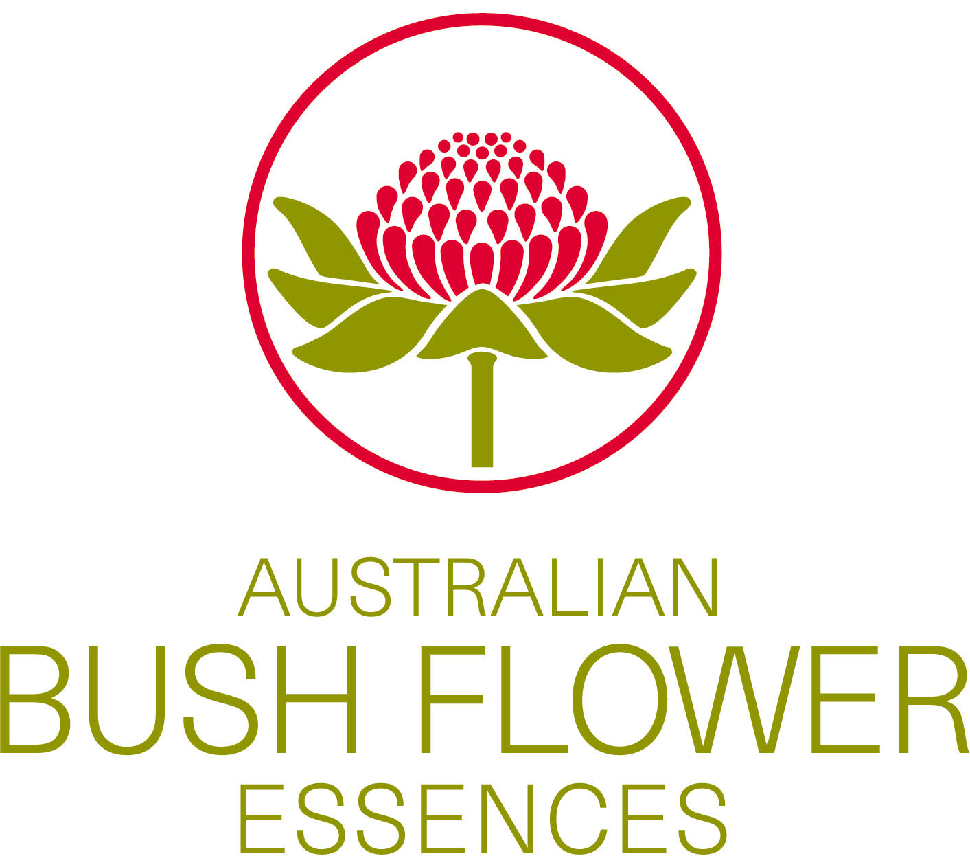 Australian Bush Flowers