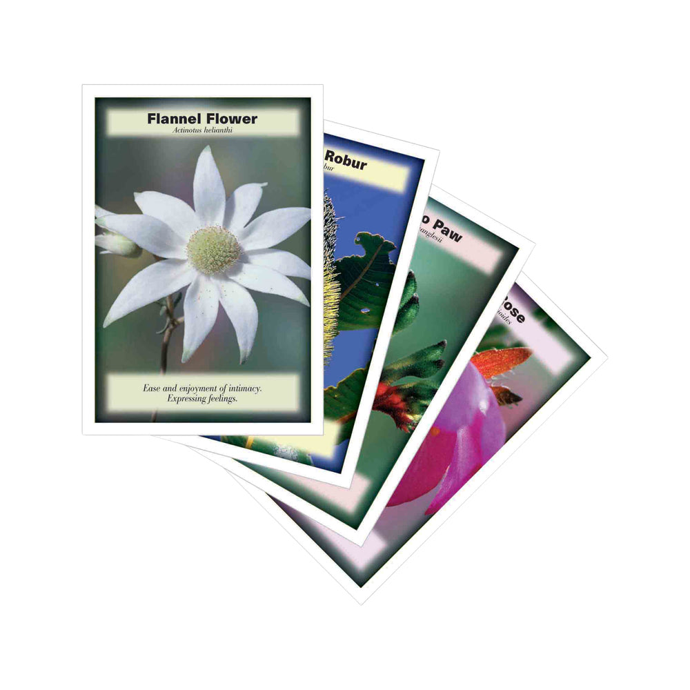 Australian Bush Flower Essences Insight Cards x 69 Pack