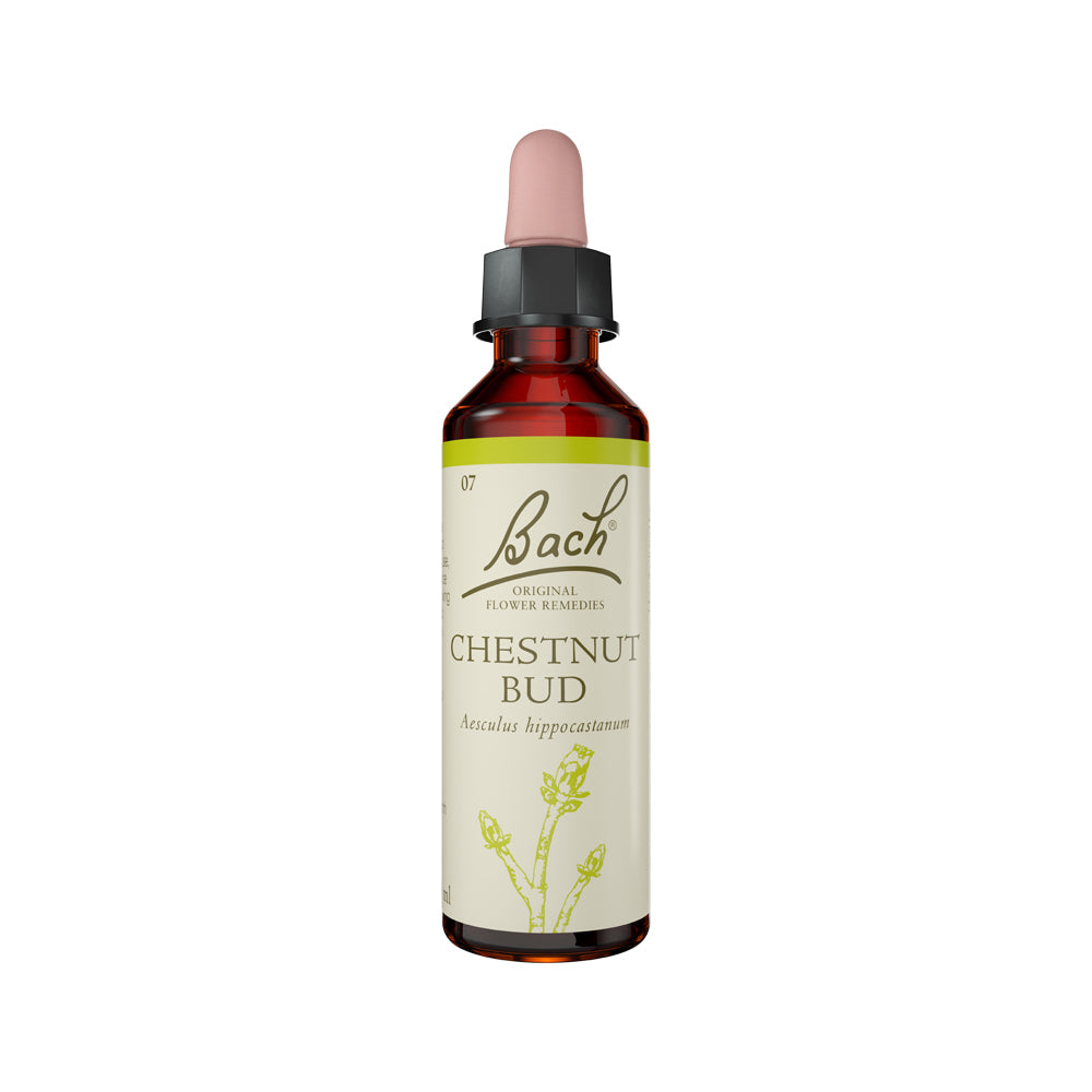 Bach Flower Remedies - Chestnut Bud