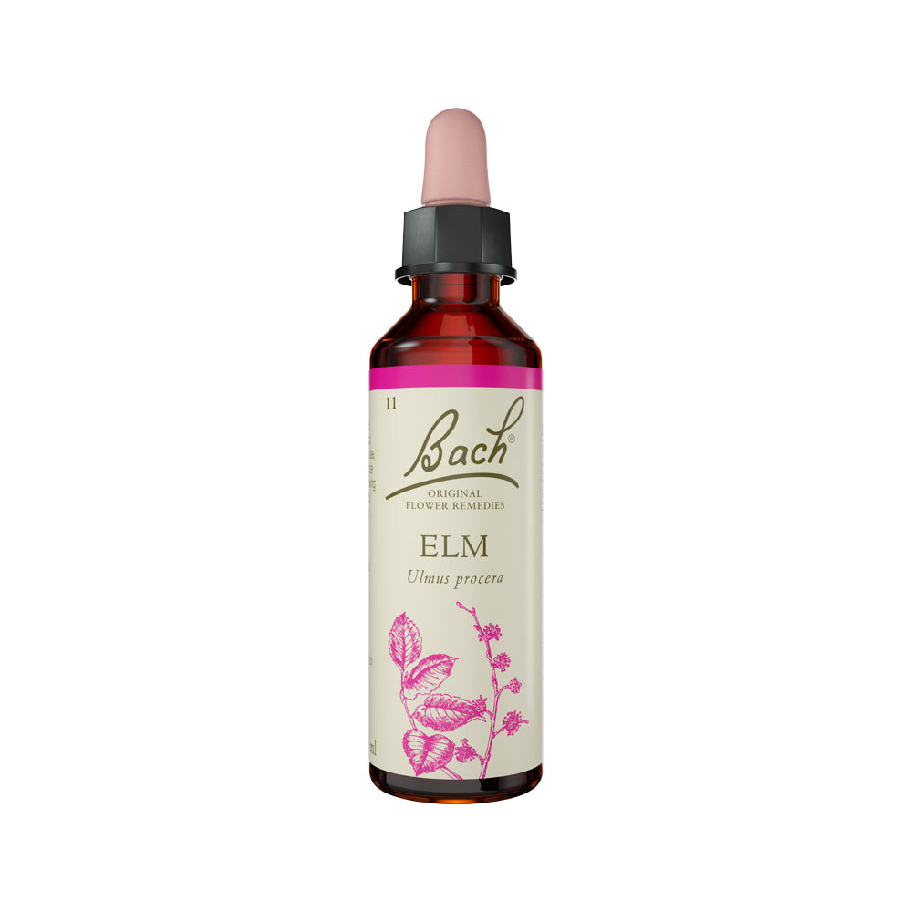 Bach Flower Remedies - Elm
