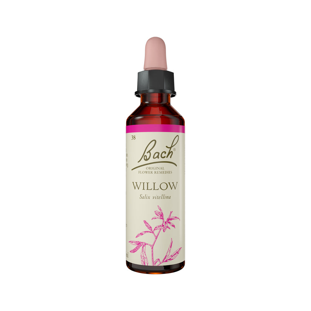 Bach Flower Remedies - Willow