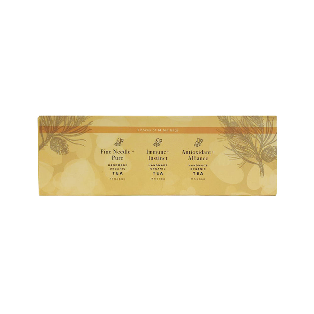 The Heart Centred Herb Company Pine Needle + Pack x 14 Tea Bags x 3 Pack (contains: Pine Needle+ Pure Immune + Instinct & Antioxidant + Alliance)