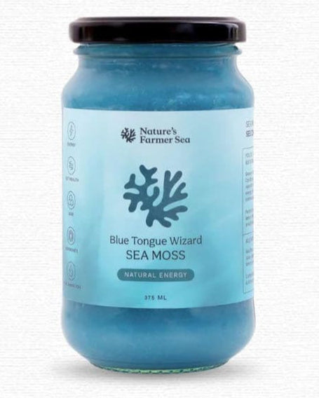 Jar of Blue Tongue Wizard Sea Moss with a blue label on a white background