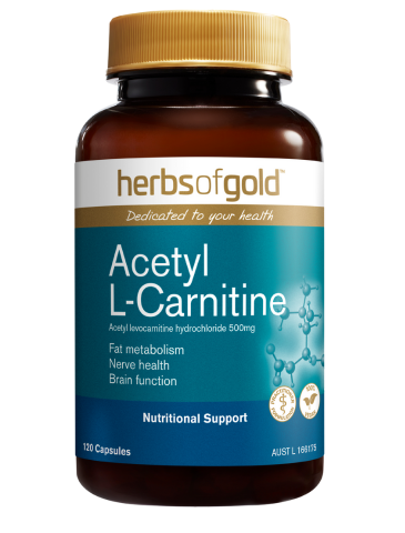 Herbs of Gold - Acetyl L-Carnitine