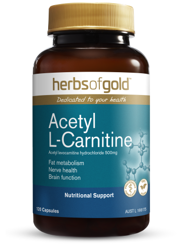 Herbs of Gold - Acetyl L-Carnitine