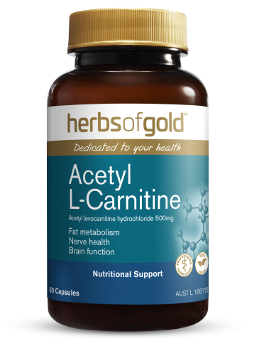 Herbs of Gold - Acetyl L-Carnitine