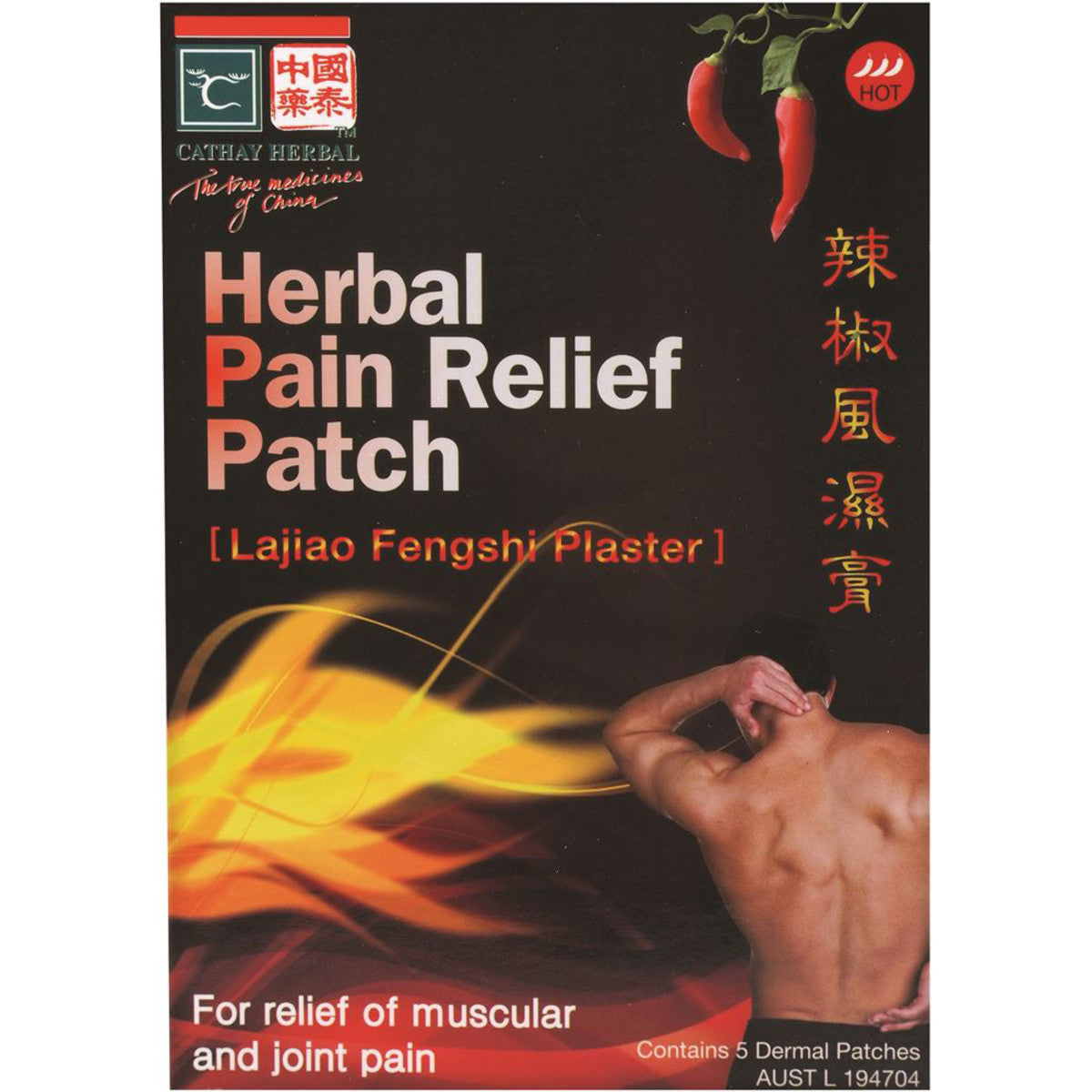 Cathay Herbal - Herbal Pain Relief Patch x 5 Dermal Patches