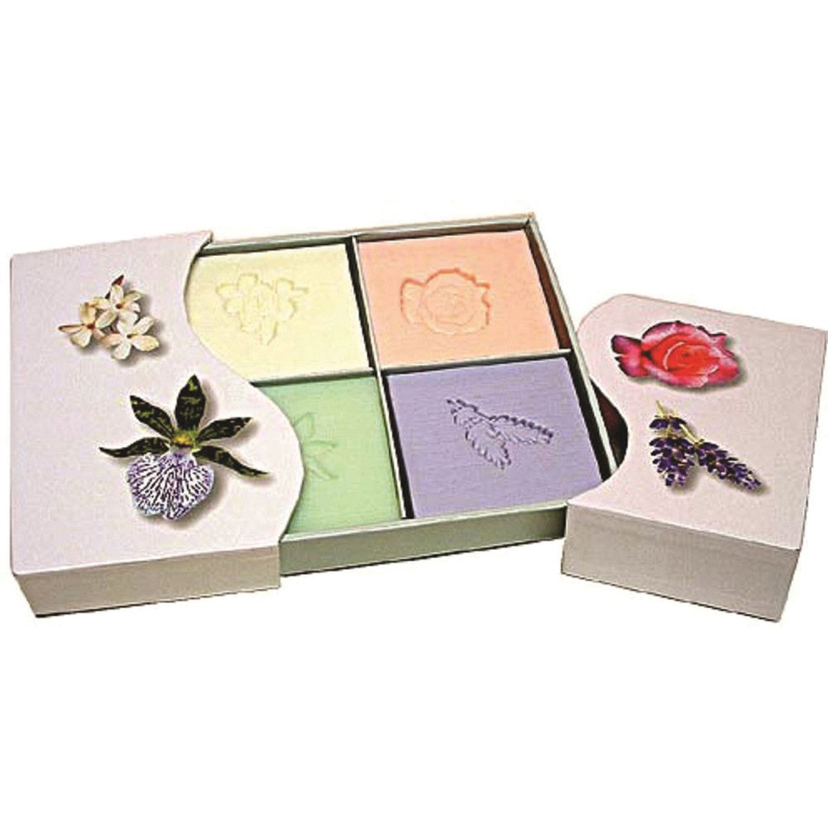 Clover Fields - Floral Box x 4 Pack