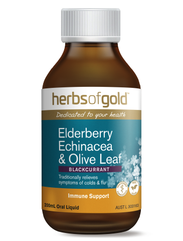 Herbs of Gold - Elderberry Echinacea & Olive Leaf
