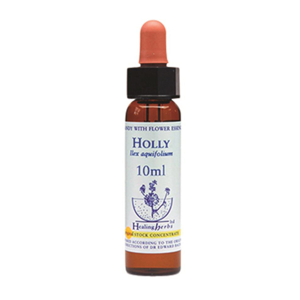 Healing Herbs - Holly Bach Flower Remedy