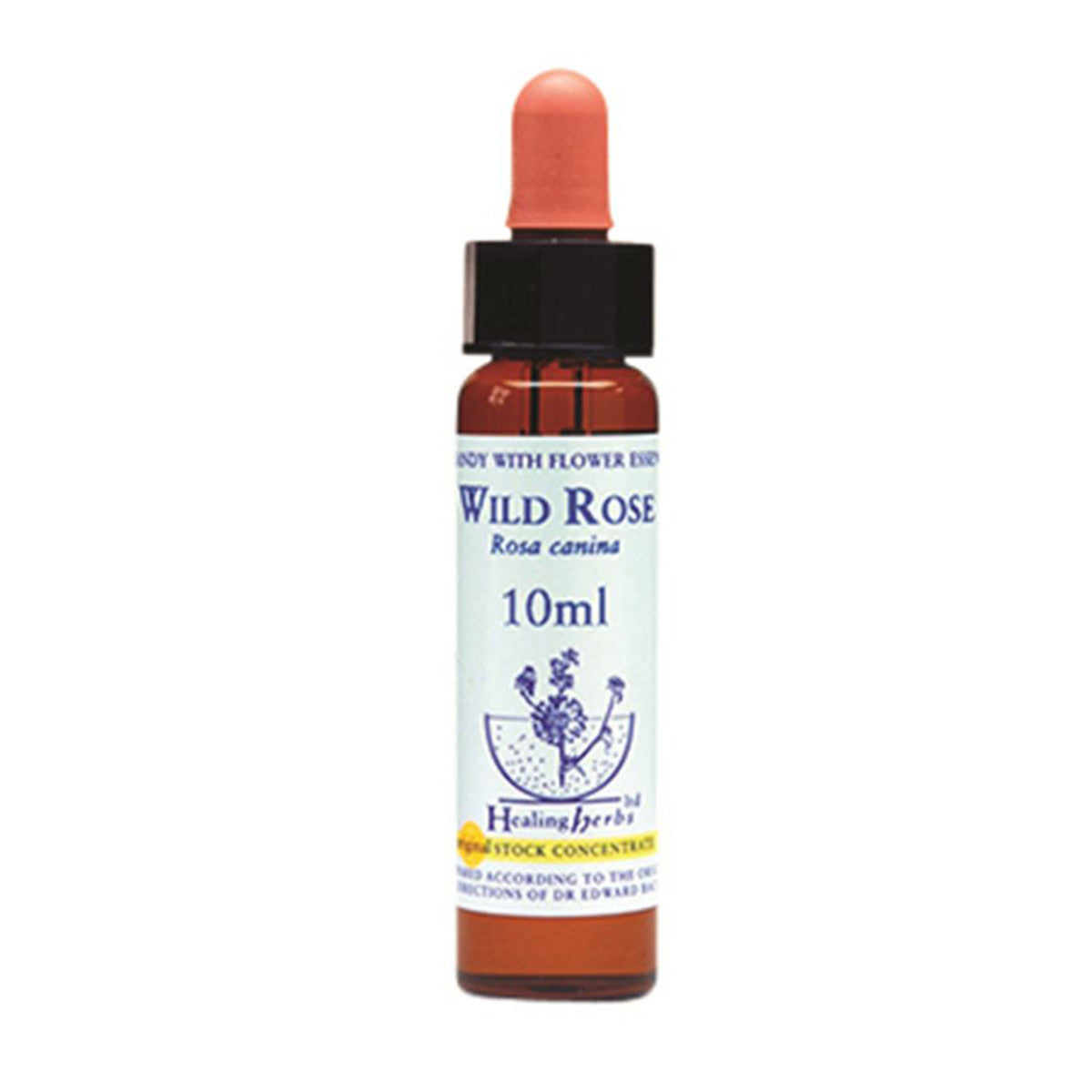 Healing Herbs - Wild Rose Bach Flower Remedy