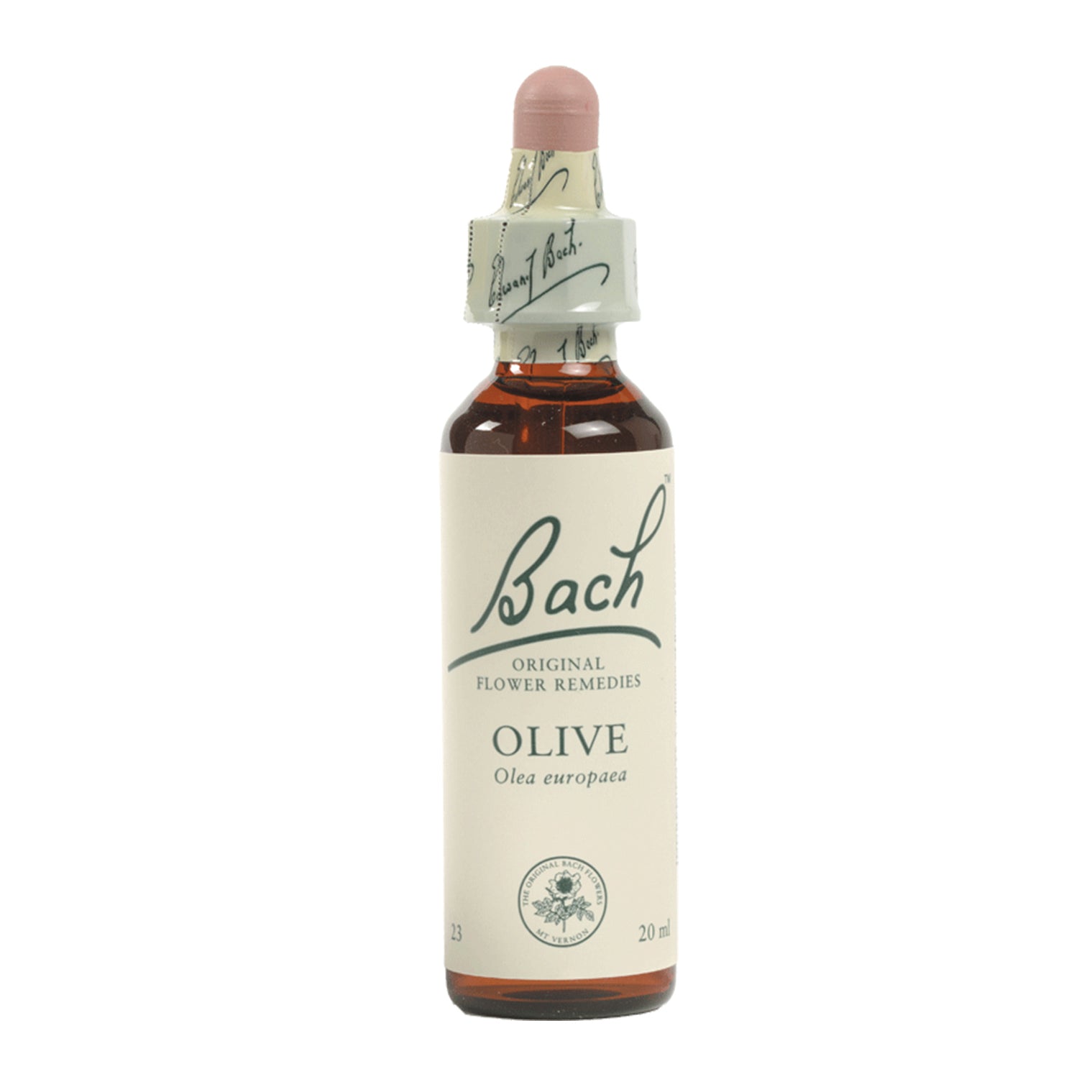 Bach - Olive