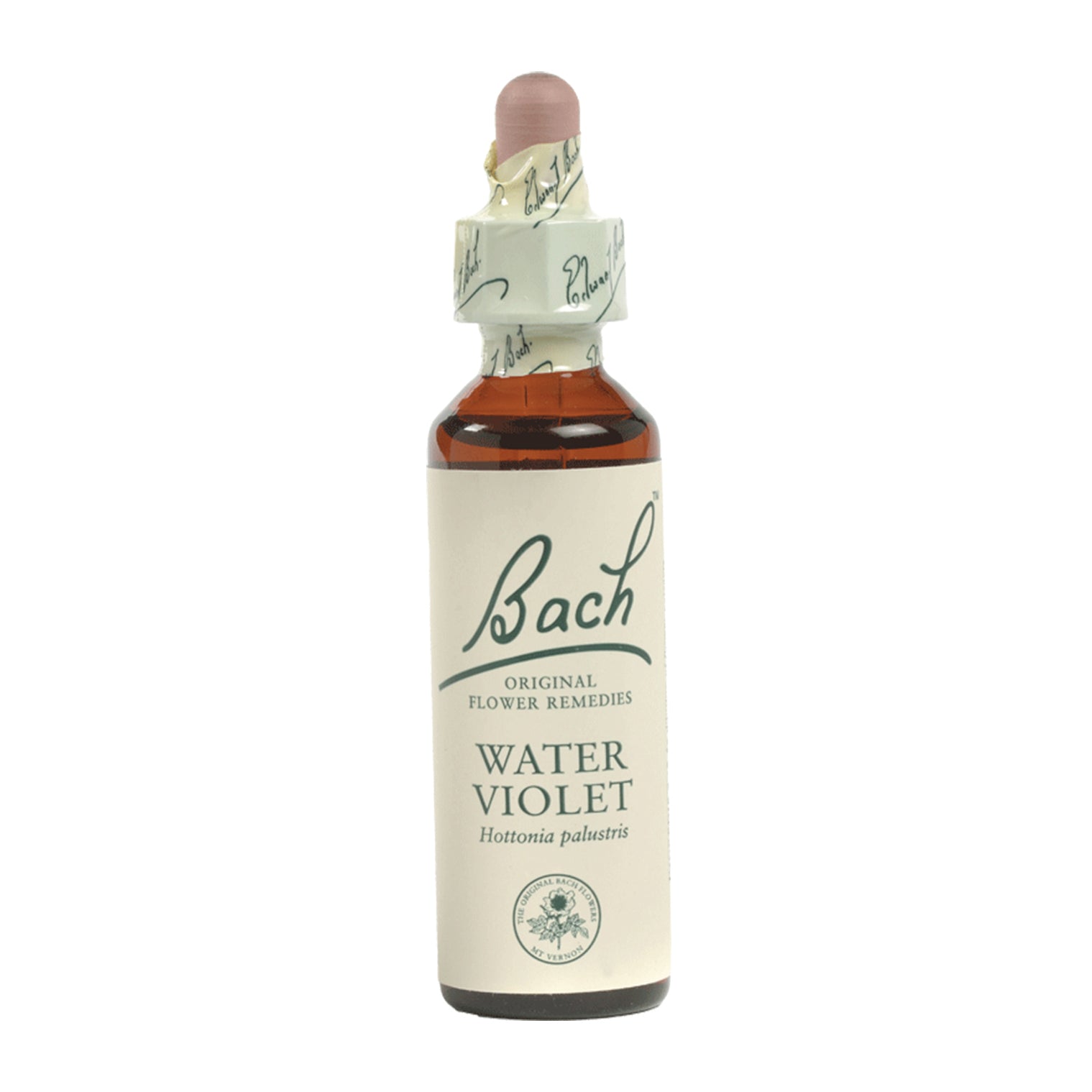 Bach - Water Violet