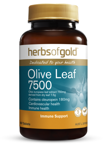 Herbs of Gold - Olive Leaf 7500