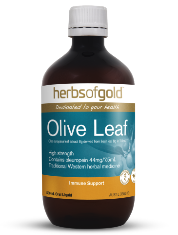 Herbs of Gold - Olive Leaf