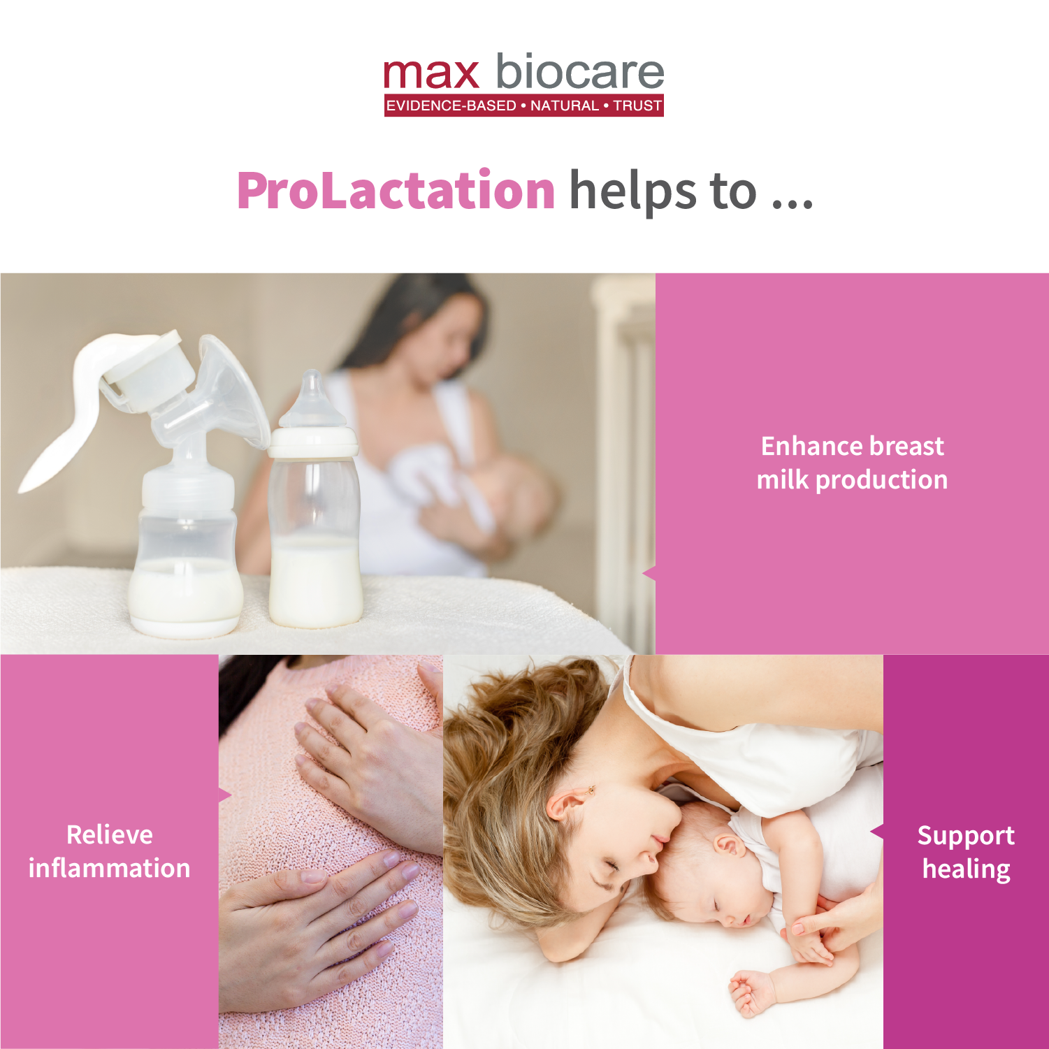 Max Biocare - ProLactation