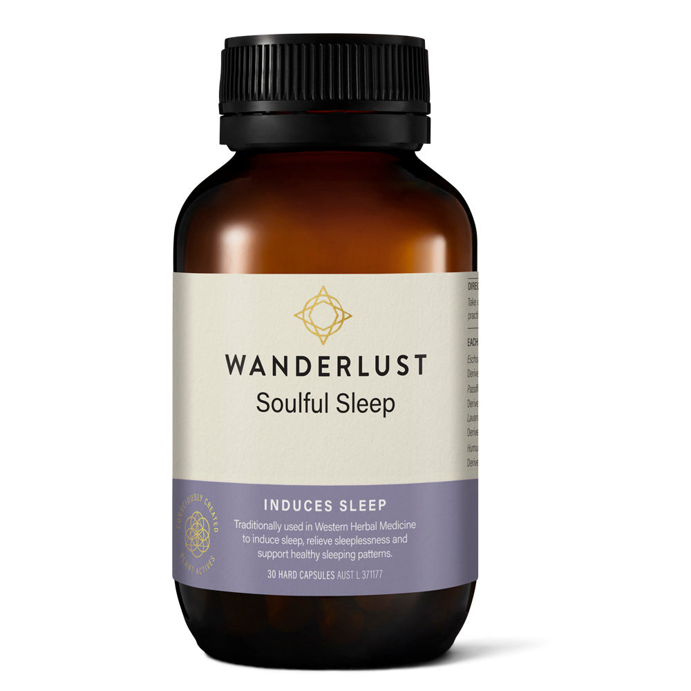 Wanderlust - Soulful Sleep